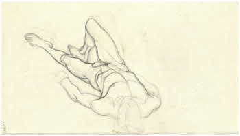 Visualizza l'immagine "FD D 749 v."